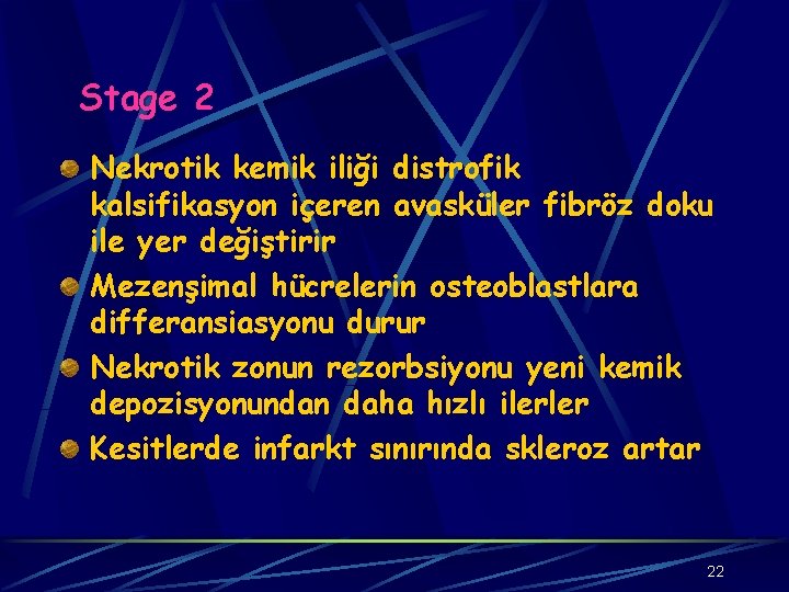 Stage 2 Nekrotik kemik iliği distrofik kalsifikasyon içeren avasküler fibröz doku ile yer değiştirir