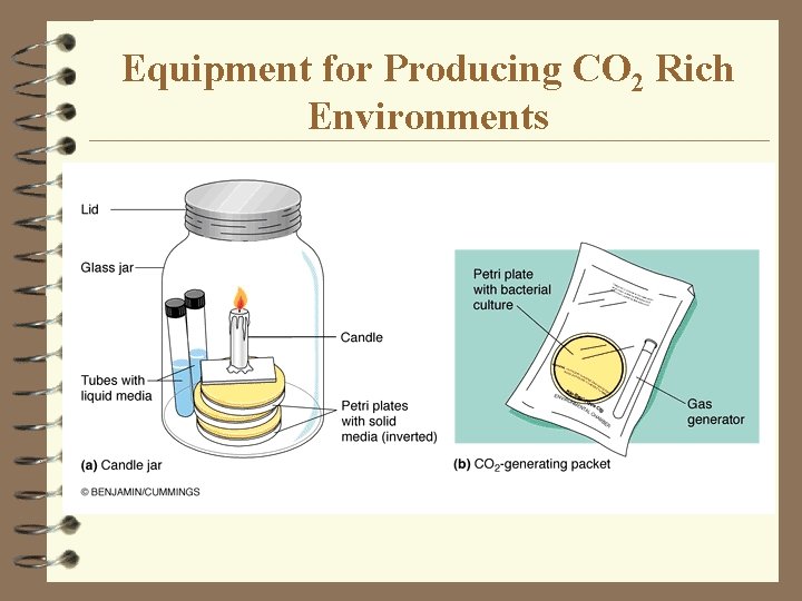 Equipment for Producing CO 2 Rich Environments 