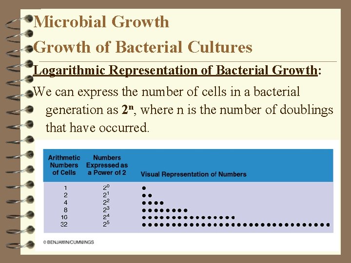 Microbial Growth of Bacterial Cultures Logarithmic Representation of Bacterial Growth: We can express the