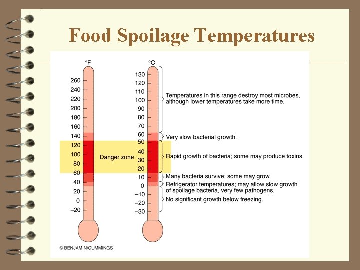 Food Spoilage Temperatures 