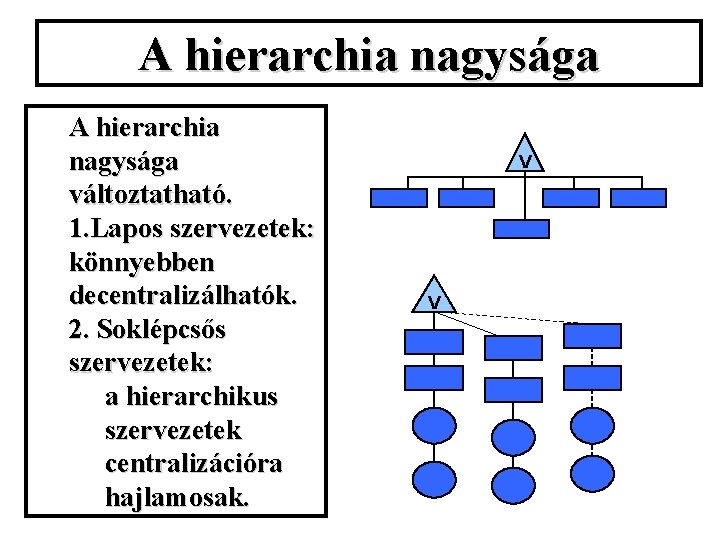 A hierarchia nagysága változtatható. 1. Lapos szervezetek: könnyebben decentralizálhatók. 2. Soklépcsős szervezetek: a hierarchikus