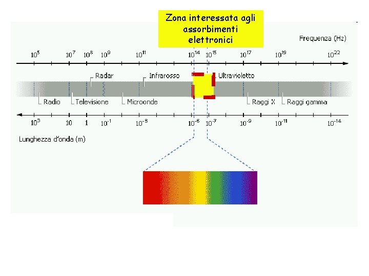 Zona interessata agli assorbimenti elettronici 