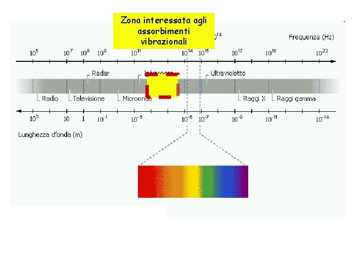 Zona interessata agli assorbimenti vibrazionali 