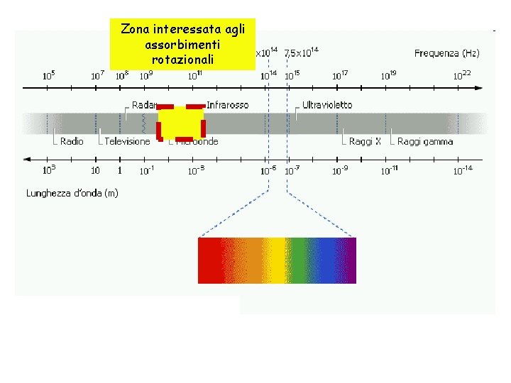 Zona interessata agli assorbimenti rotazionali 