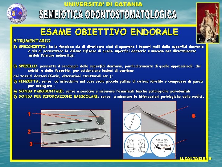 UNIVERSITA’ DI CATANIA ESAME OBIETTIVO ENDORALE ESCULAPIO STRUMENTARIO 1) SPECCHIETTO: ha la funzione sia