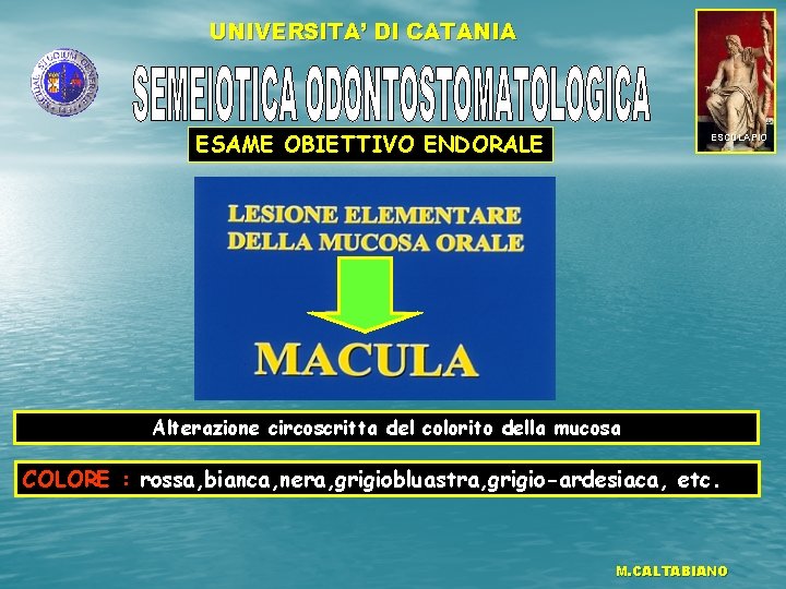 UNIVERSITA’ DI CATANIA ESAME OBIETTIVO ENDORALE ESCULAPIO Alterazione circoscritta del colorito della mucosa COLORE