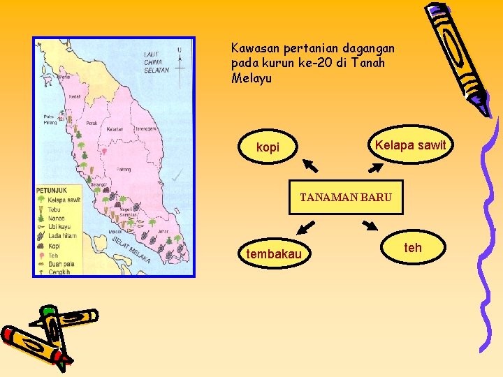 Kawasan pertanian dagangan pada kurun ke-20 di Tanah Melayu Kelapa sawit kopi TANAMAN BARU