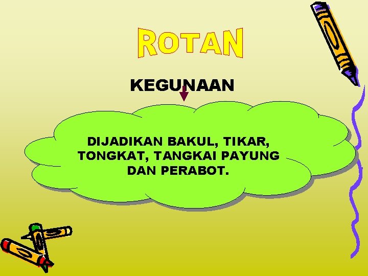 KEGUNAAN DIJADIKAN BAKUL, TIKAR, TONGKAT, TANGKAI PAYUNG DAN PERABOT. 