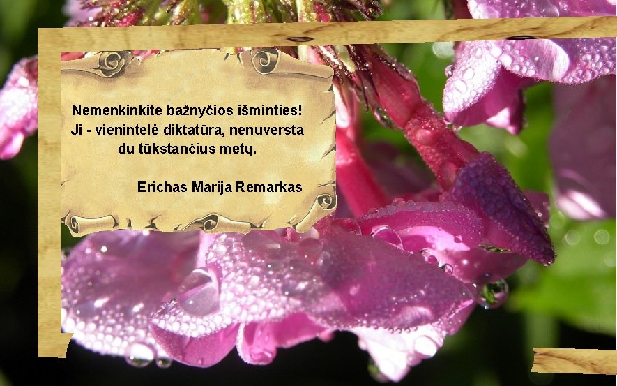 Nemenkinkite bažnyčios išminties! Ji - vienintelė diktatūra, nenuversta du tūkstančius metų. Erichas Marija Remarkas