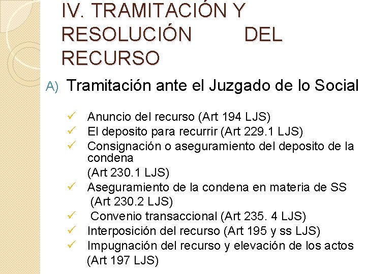 IV. TRAMITACIÓN Y RESOLUCIÓN DEL RECURSO A) Tramitación ante el Juzgado de lo Social