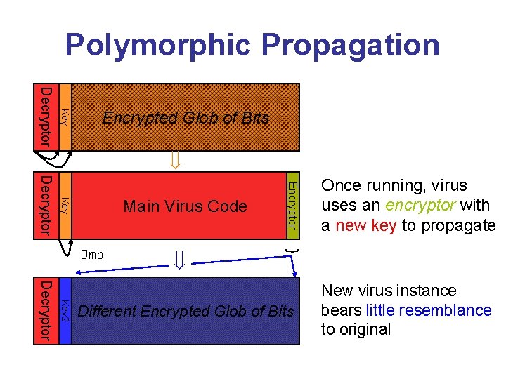 Polymorphic Propagation Key Decryptor Encrypted Glob of Bits } Jmp Encryptor Key Decryptor Main