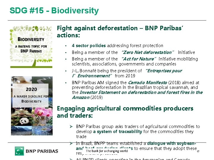 SDG #15 - Biodiversity Fight against deforestation – BNP Paribas’ actions: 2020 A MAJOR