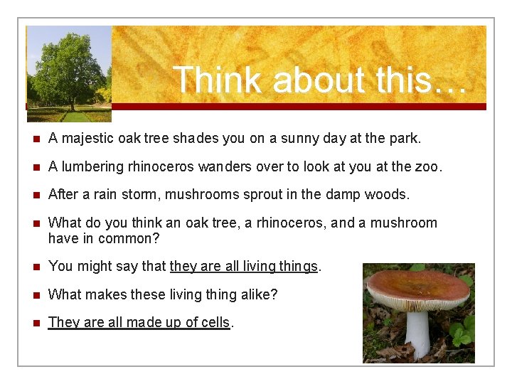 Think about this… n A majestic oak tree shades you on a sunny day