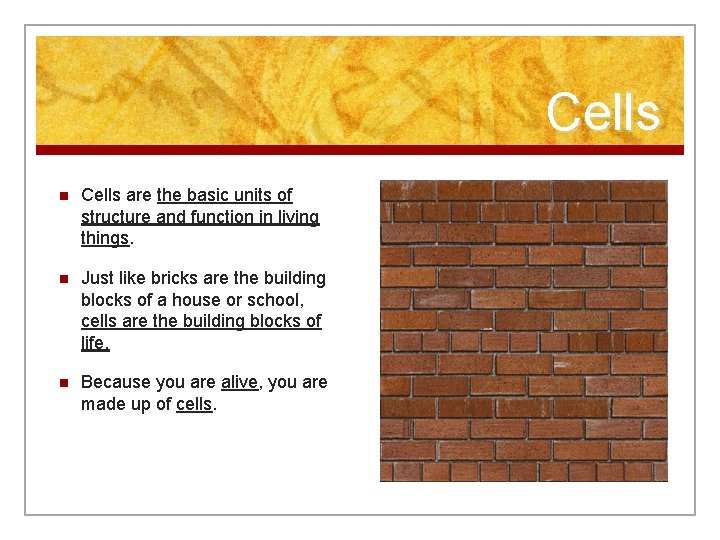 Cells n Cells are the basic units of structure and function in living things.