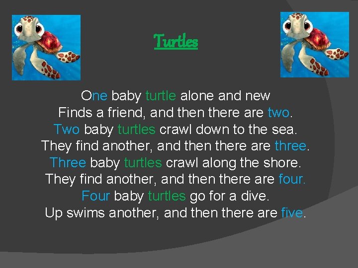 Turtles One baby turtle alone and new Finds a friend, and then there are