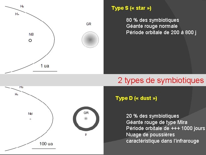 Type S ( « star » ) 80 % des symbiotiques Géante rouge normale