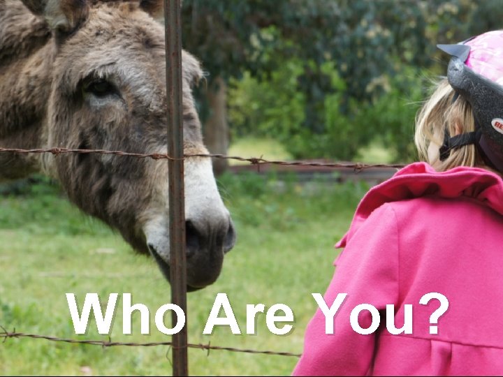 Who Are You? 