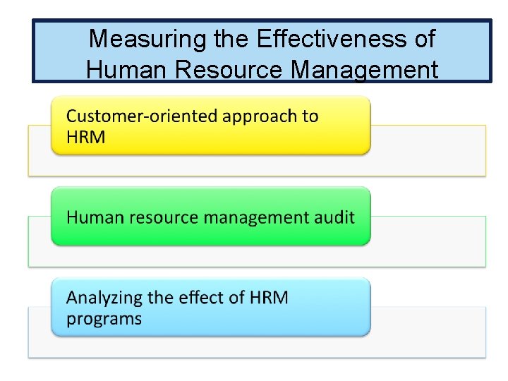 Measuring the Effectiveness of Human Resource Management 