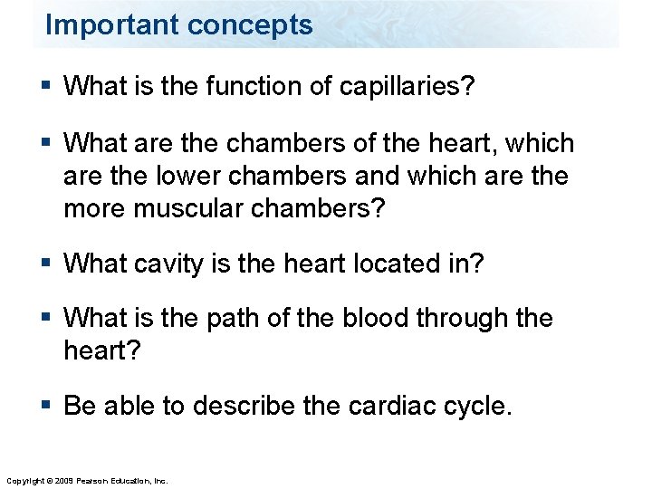 Important concepts § What is the function of capillaries? § What are the chambers