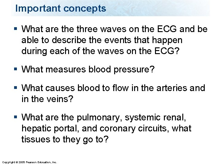 Important concepts § What are three waves on the ECG and be able to