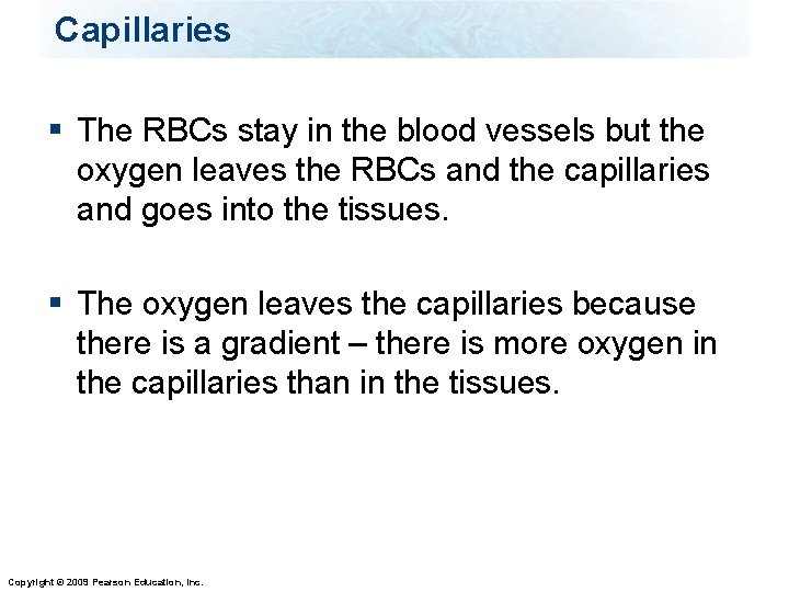 Capillaries § The RBCs stay in the blood vessels but the oxygen leaves the