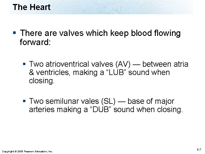 The Heart § There are valves which keep blood flowing forward: § Two atrioventrical