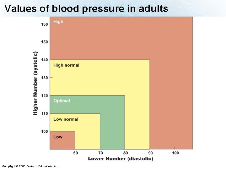 Values of blood pressure in adults Copyright © 2009 Pearson Education, Inc. 