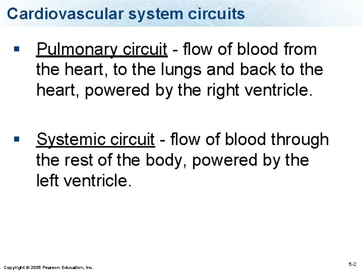 Cardiovascular system circuits § Pulmonary circuit - flow of blood from the heart, to