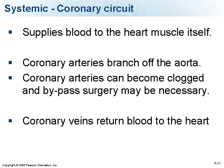 Systemic - Coronary circuit § Supplies blood to the heart muscle itself. § Coronary