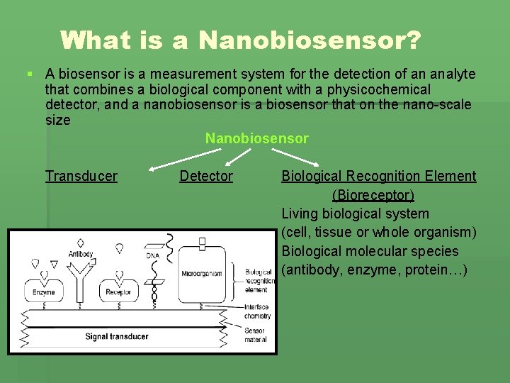 What is a Nanobiosensor? § A biosensor is a measurement system for the detection
