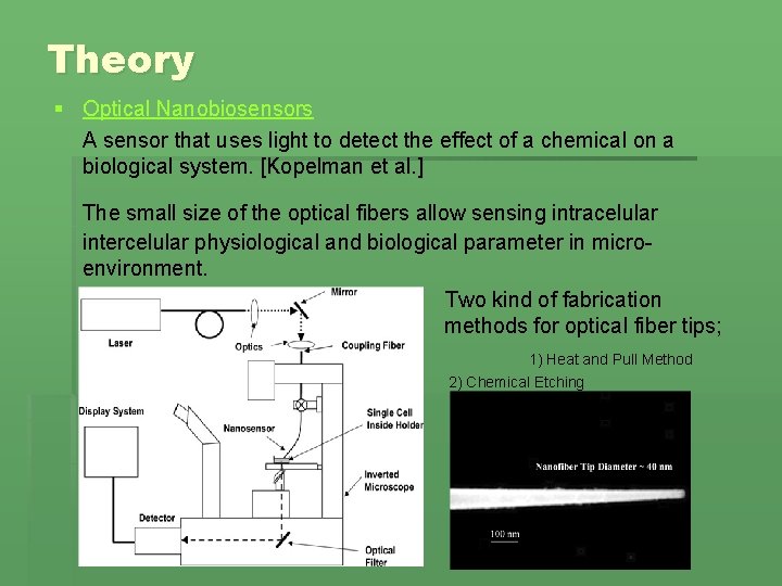 Theory § Optical Nanobiosensors A sensor that uses light to detect the effect of