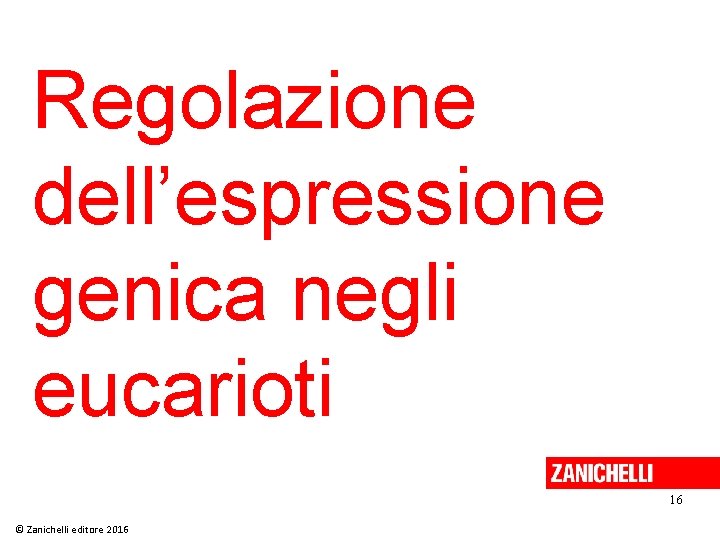 Regolazione dell’espressione genica negli eucarioti 16 © Zanichelli editore 2016 