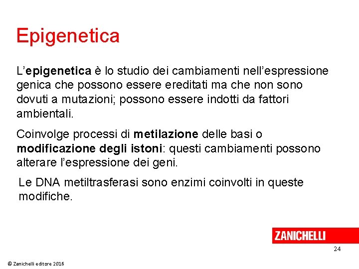 Epigenetica L’epigenetica è lo studio dei cambiamenti nell’espressione genica che possono essere ereditati ma