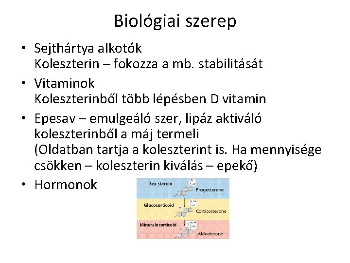 Biológiai szerep • Sejthártya alkotók Koleszterin – fokozza a mb. stabilitását • Vitaminok Koleszterinből