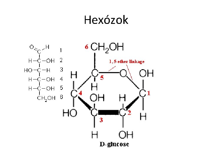 Hexózok 