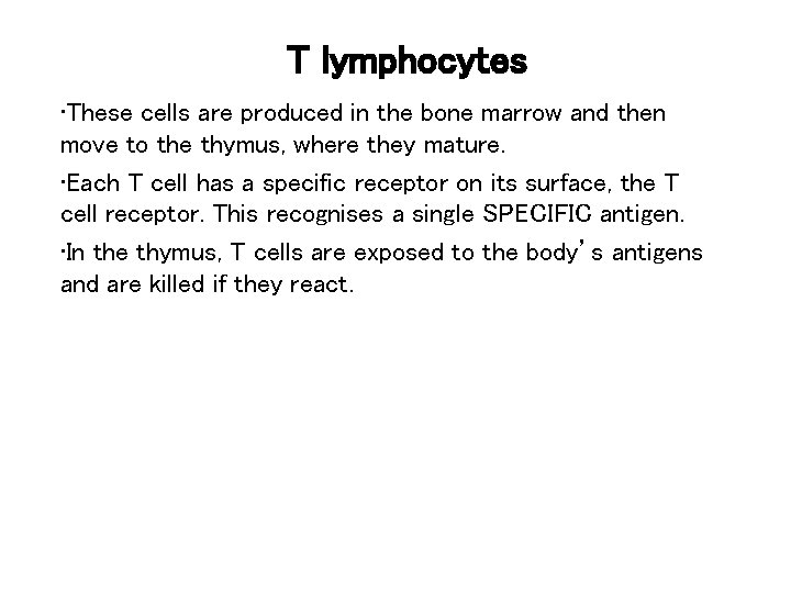 T lymphocytes • These cells are produced in the bone marrow and then move