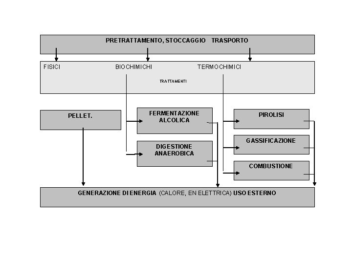 PRETRATTAMENTO, STOCCAGGIO TRASPORTO FISICI BIOCHIMICHI TERMOCHIMICI TRATTAMENTI PELLET. FERMENTAZIONE ALCOLICA DIGESTIONE ANAEROBICA PIROLISI GASSIFICAZIONE