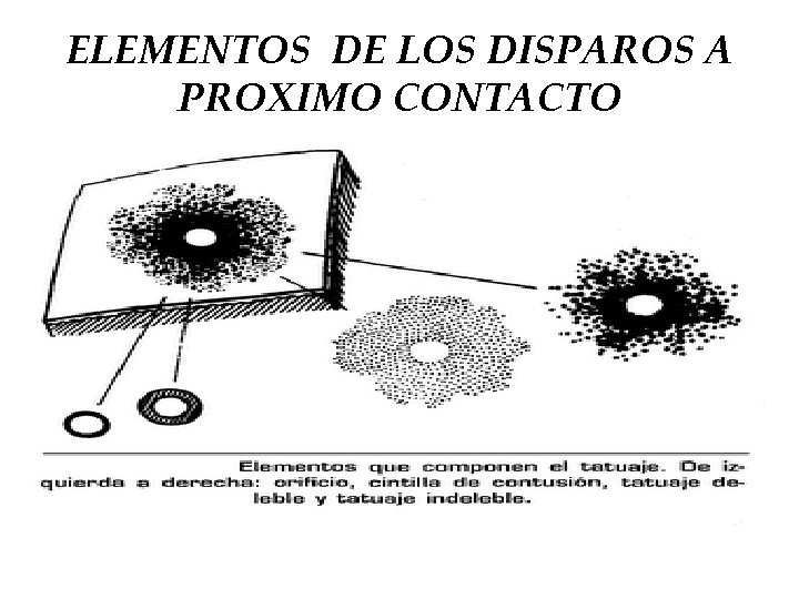 ELEMENTOS DE LOS DISPAROS A PROXIMO CONTACTO 
