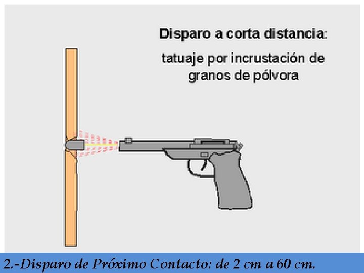 2. -Disparo de Próximo Contacto: de 2 cm a 60 cm. 