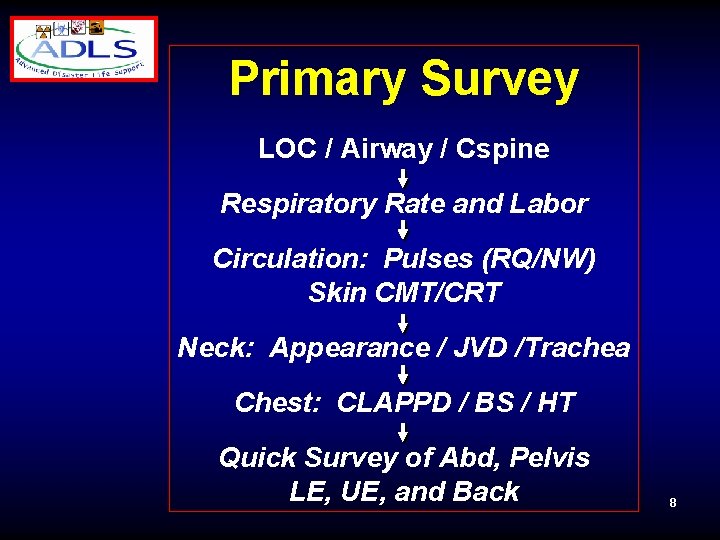 Primary Survey LOC / Airway / Cspine Respiratory Rate and Labor Circulation: Pulses (RQ/NW)