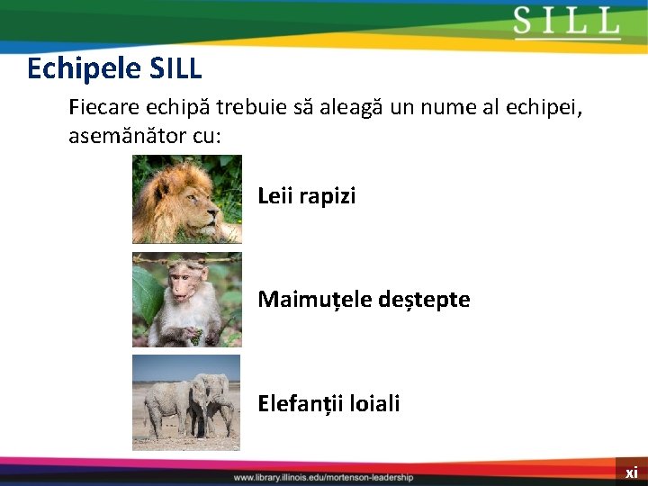 Echipele SILL Fiecare echipă trebuie să aleagă un nume al echipei, asemănător cu: Leii