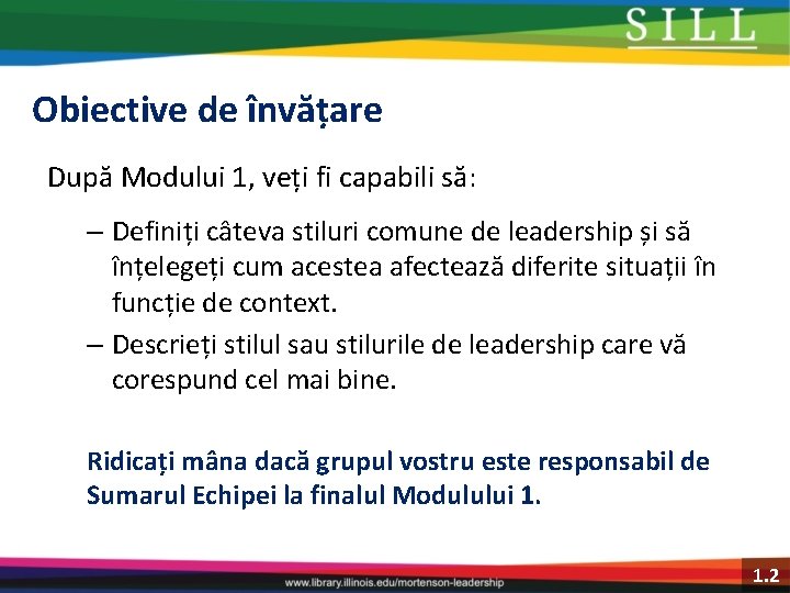 Obiective de învățare După Modului 1, veți fi capabili să: – Definiți câteva stiluri