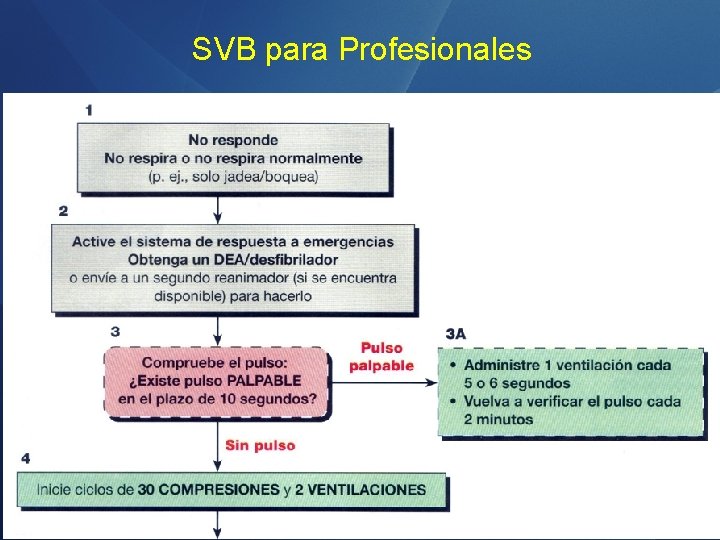SVB para Profesionales 