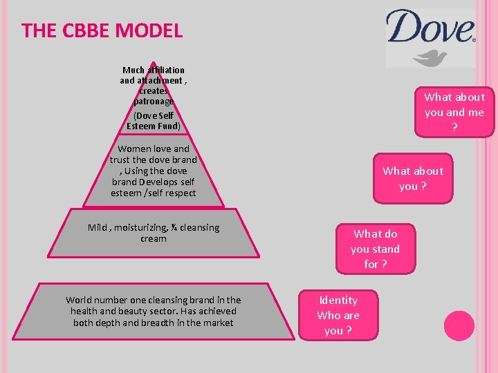 THE CBBE MODEL Much affiliation and attachment , creates patronage (Dove Self Esteem Fund)