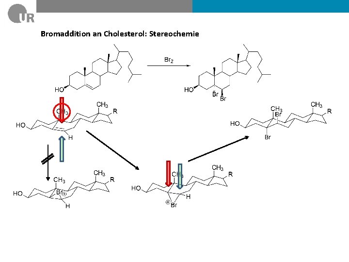 Bromaddition an Cholesterol: Stereochemie 