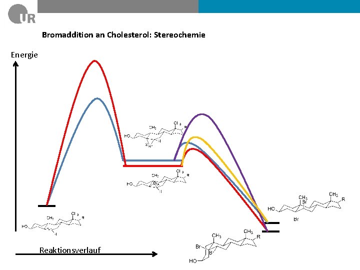 Bromaddition an Cholesterol: Stereochemie Energie Reaktionsverlauf 