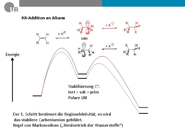 HX-Addition an Alkene Energie Stabilisierung C+: tert > sek > prim Polare LM Der