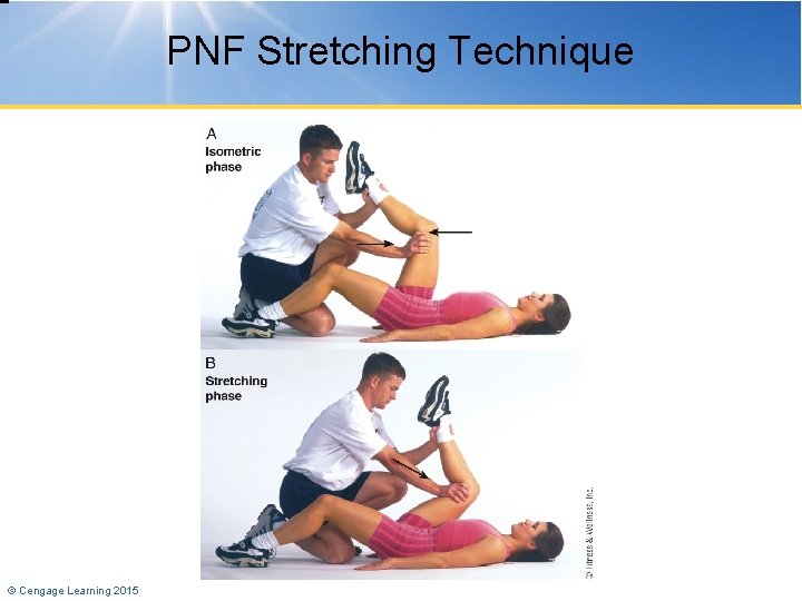 PNF Stretching Technique © Cengage Learning 2015 