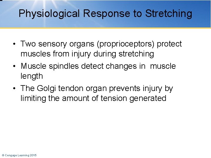 Physiological Response to Stretching • Two sensory organs (proprioceptors) protect muscles from injury during