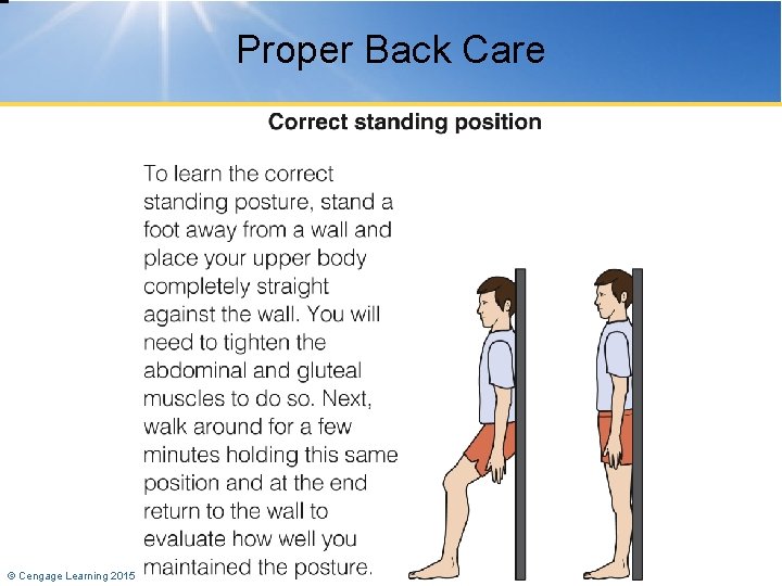 Proper Back Care © Cengage Learning 2015 